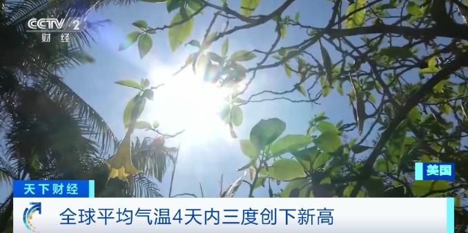 全球平均气温4天内3创新高 世界首富被晒伤!高温会带来哪些经济逆风?
